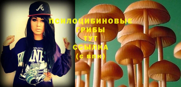 первитин Беломорск
